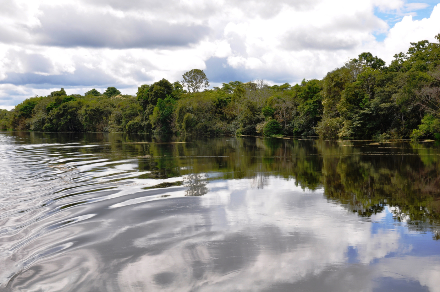 Brazylia - Manaus - Amazonka